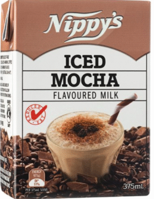 Nippy Iced Mocha 500ml