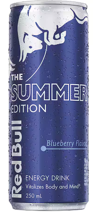 Redbull The Summer Edition 250 ML